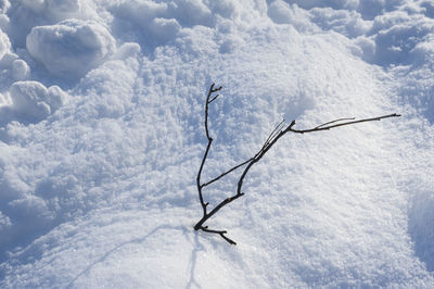 Snow covered landscape