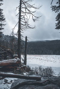 Scenic view of snow covered land against sky