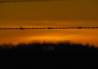 Barbed wire against orange sky