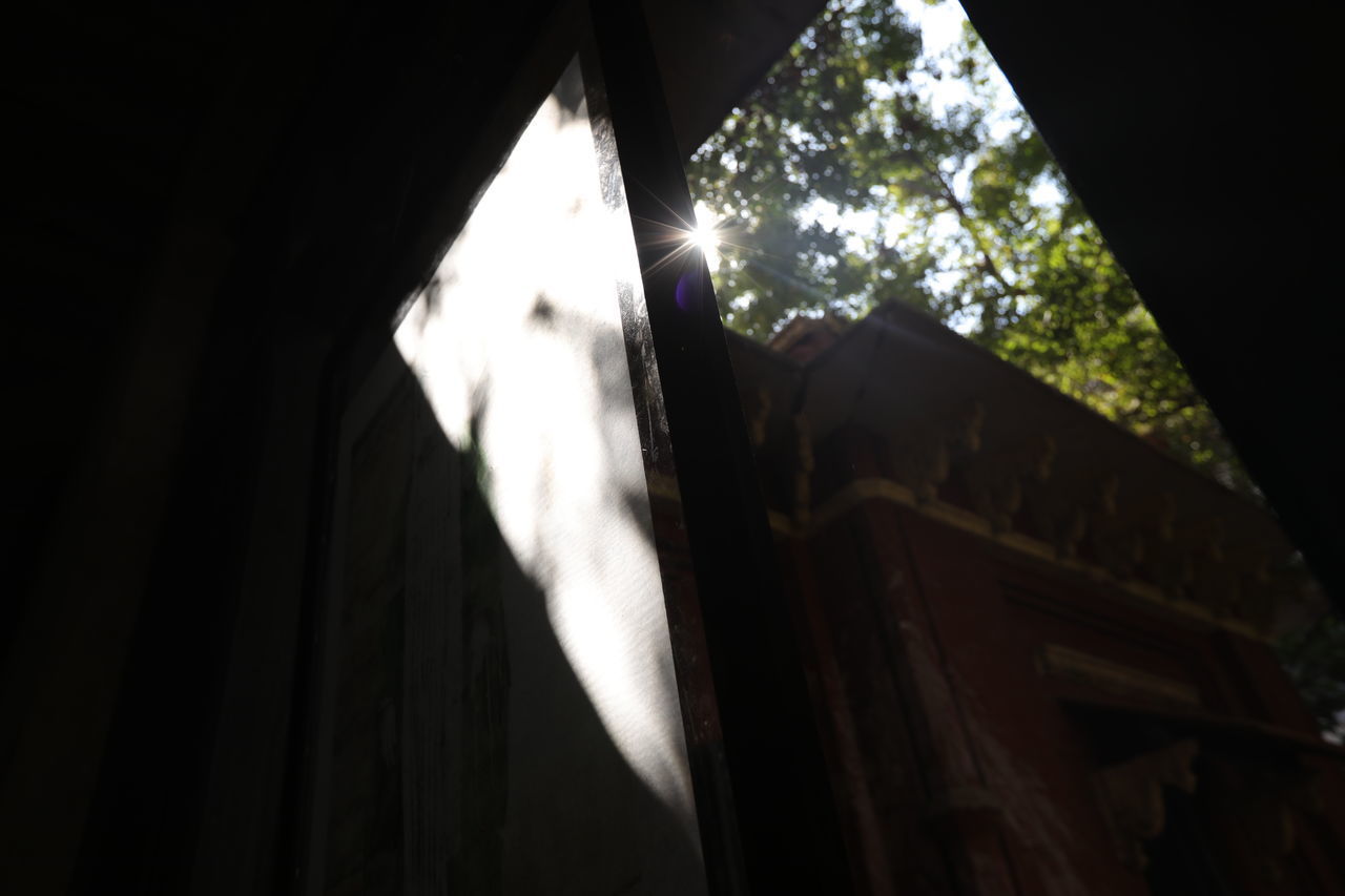 LOW ANGLE VIEW OF BUILDING AND TREES