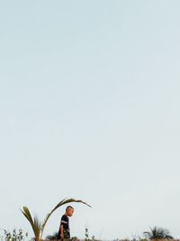 Low angle view of plant against clear sky
