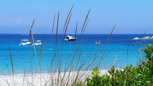 Boats in calm sea