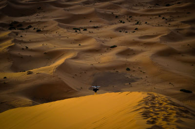 Scenic view of sand dunes in desert