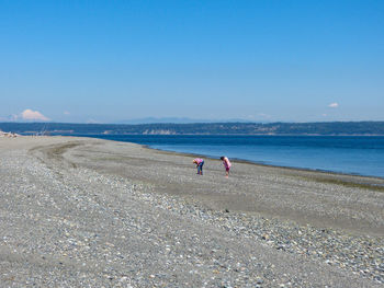 People on beach against clear sky