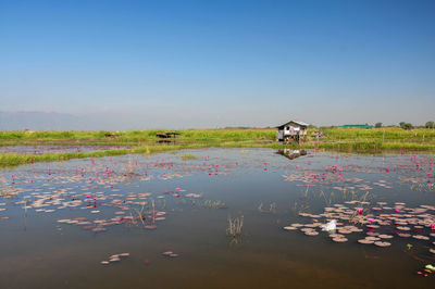 Scenic view of lake against clear sky