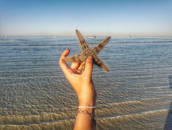 Cropped hand holding dead starfish at beach