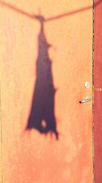 Shadow of person on floor