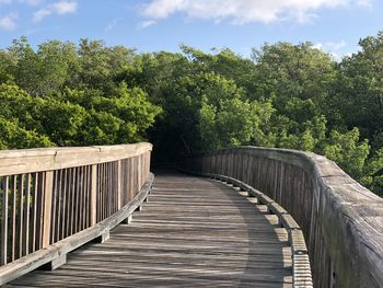 Footbridge amidst trees against sky