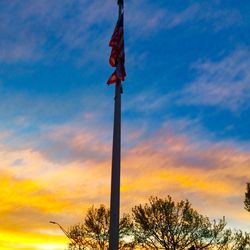 Low angle view of silhouette tree against sky during sunset