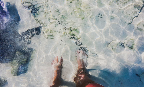 Low section of person swimming in pool