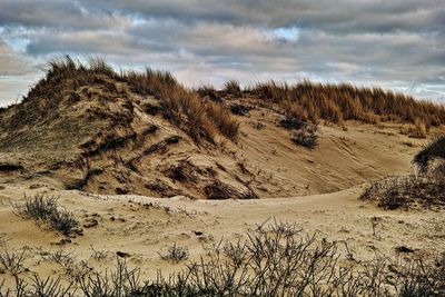 Scenic view of desert against sky