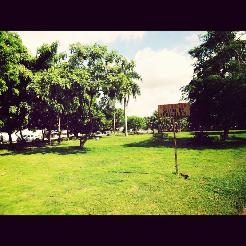 transfer print, tree, auto post production filter, grass, green color, sky, growth, field, nature, park - man made space, tranquility, lawn, built structure, landscape, grassy, tranquil scene, building exterior, day, outdoors, sunlight