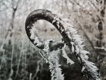 Close-up of snow against sky