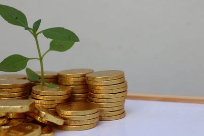 finance