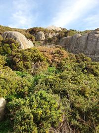 Scenic view of rocky landscape against sky