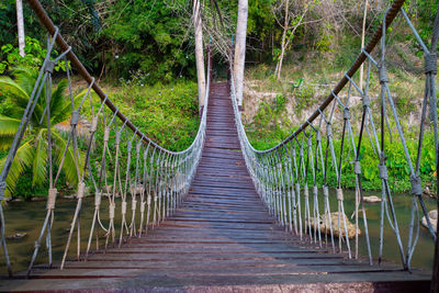 Walkway bridge cross over the river in the deep jungle.