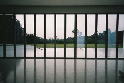 Trees seen through window