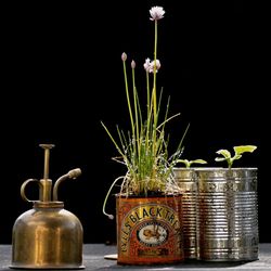 Close-up of vase on table against black background