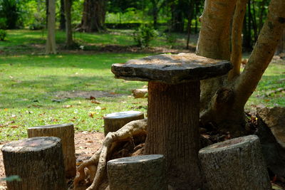 Stone structure on field in forest