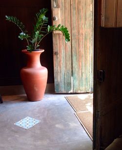 Potted plant on wall