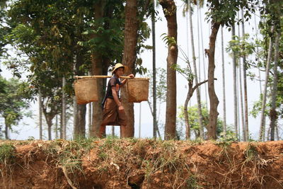 Horse in farm against sky