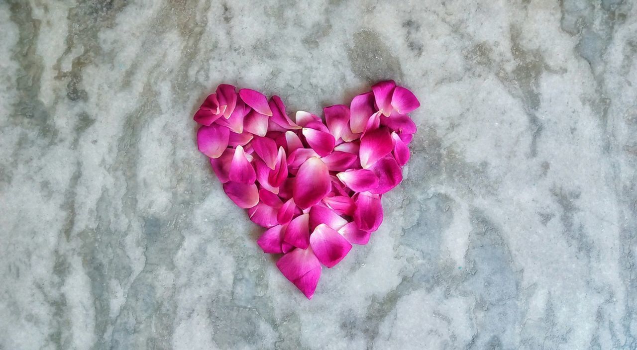 DIRECTLY ABOVE SHOT OF PINK ROSE FLOWER ON FLOOR