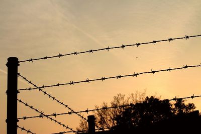 Low angle view of silhouette barbed wire fence and tree against sky during sunset