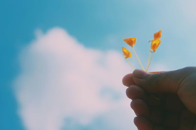 Close-up of hand holding flowers against blue sky