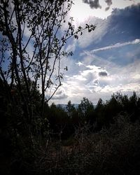 Silhouette trees on field against sky