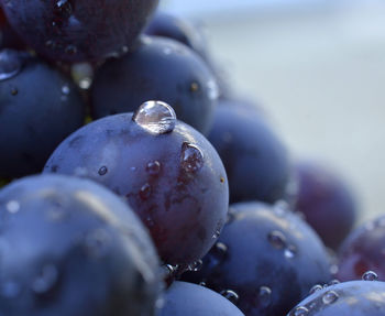 Close-up of wet fruit