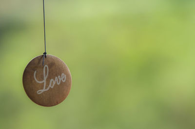 Close-up of heart shape hanging from plant