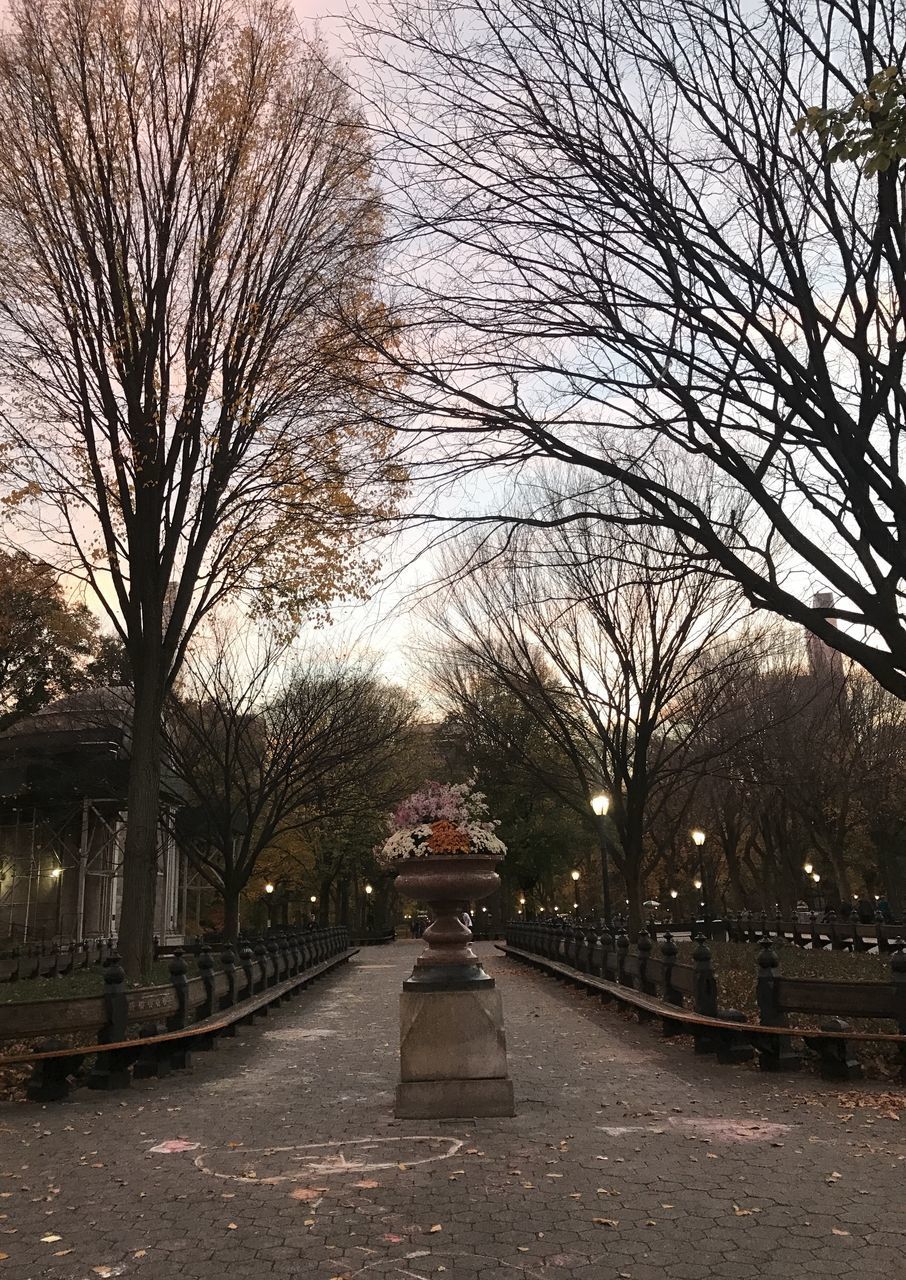 STREET AMIDST TREES IN PARK