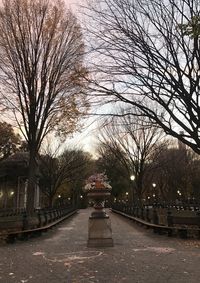 Street amidst trees against sky in city