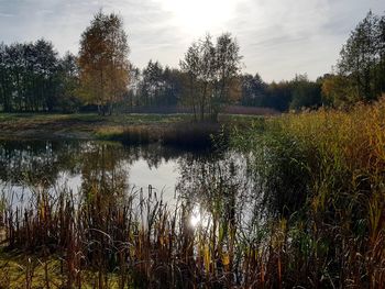 Scenic view of lake against sky