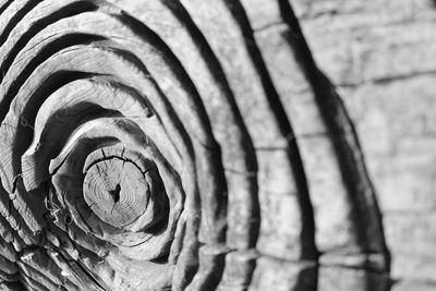 Full frame shot of leaf