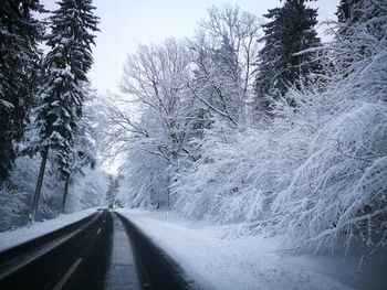 Road amidst snow covered trees in forest