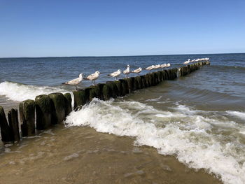 Scenic view of sea against clear sky