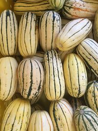 Full frame group of delicata squash from above for sale at farmer's market