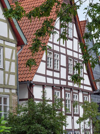 Low angle view of tree and building against sky