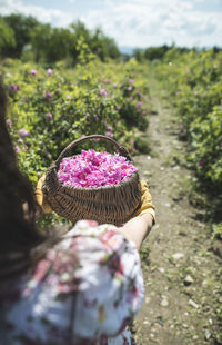 Midsection of woman with pink flower on field