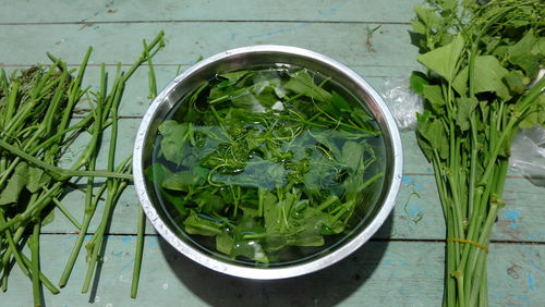 High angle view of green leaves in container