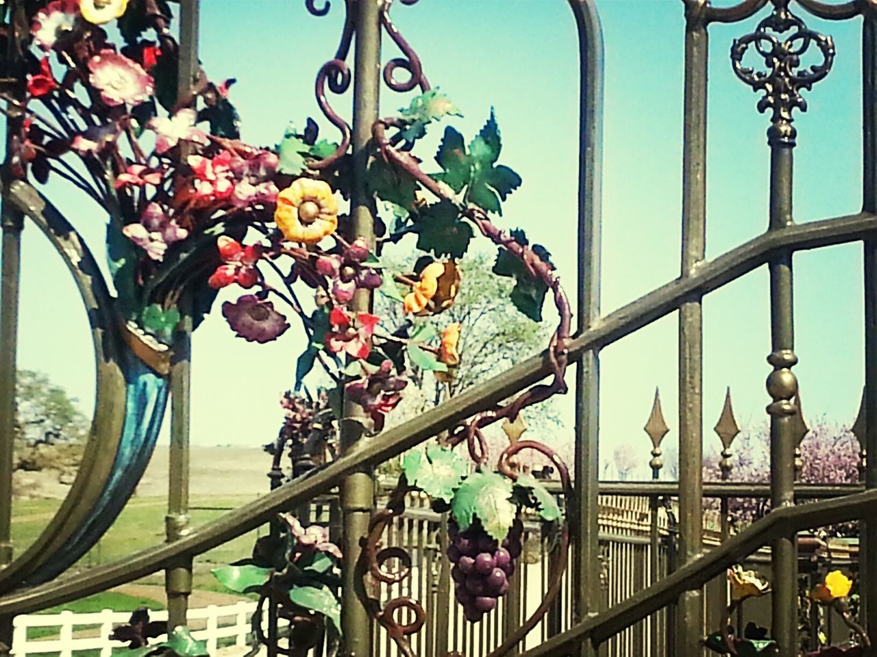 low angle view, built structure, architecture, railing, decoration, clear sky, hanging, metal, indoors, flower, day, no people, design, lighting equipment, sky, tree, sunlight, ornate, lantern