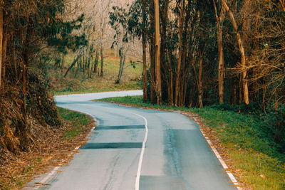 Country road amidst trees in forest