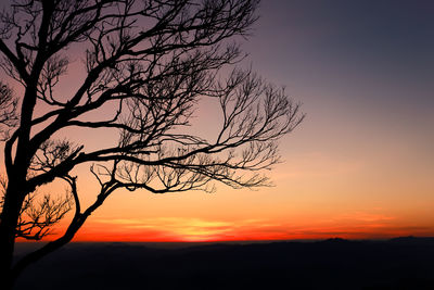 Silhouette bare tree against sky during sunset