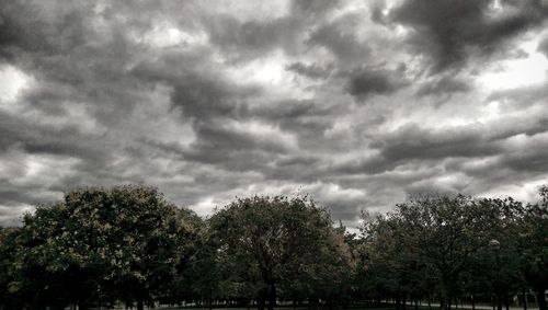 Low angle view of trees against cloudy sky