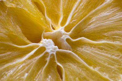 Full frame shot of lemon slices