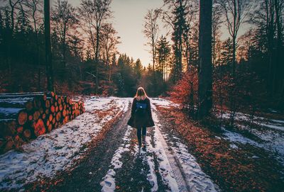 Rear view of person walking on road along trees