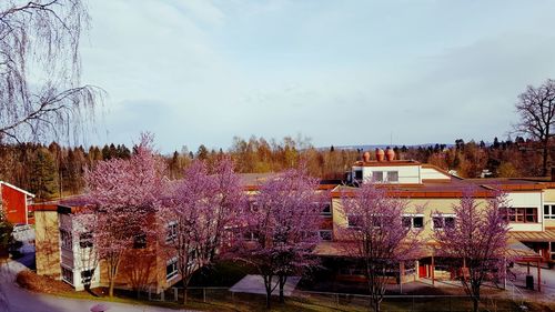 Buildings in city