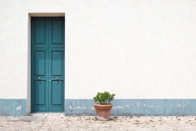 Potted plant against wall with door