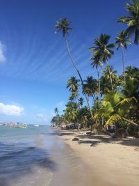 Scenic view of sea against blue sky